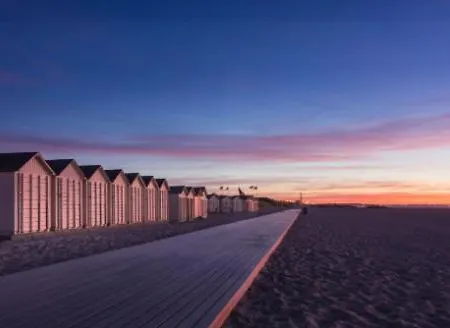 L'oyat Des Dunes * Ouistreham