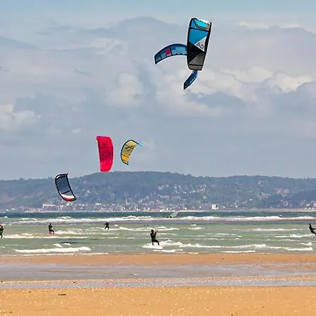 Ferienhaus L'oyat Des Dunes *